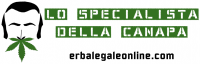 erbalegaleonline.com